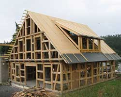 Строительство дома: материалы для крыши и стен